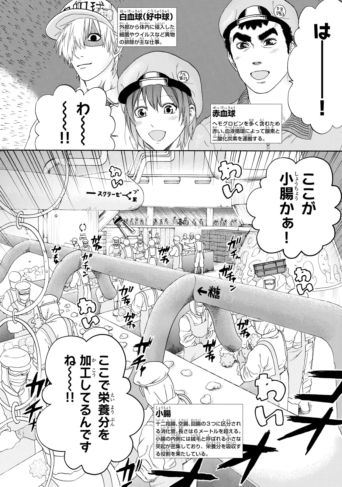 Hataraku Saibou - Chapter 19 - Page 2